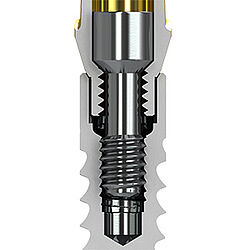 BioHorizons Tapered 3.0 Implant Cross Section