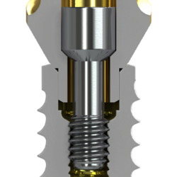 BioHorizons PTG Implant System Cross Section