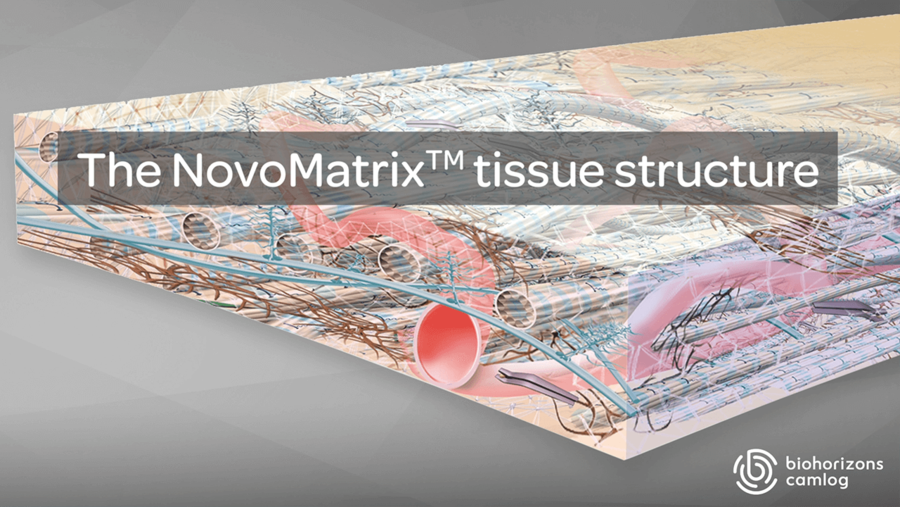The NovoMatrix™ tissue structure